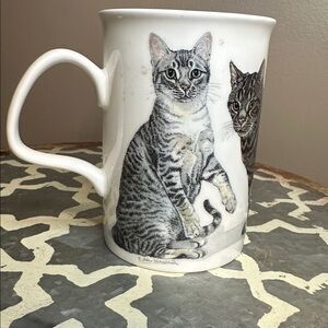 Cats Galore Mug Roy Kirkham England 2005 Fine Bone China 8oz Cup K.M. Hassall
